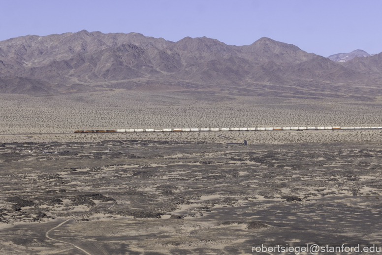 Desert Biogeography of Joshua Tree National Park